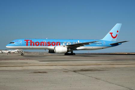 Thomson fly